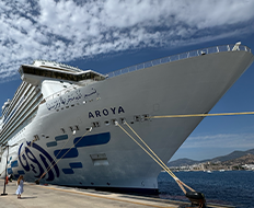 Aroya Cruise Gallery 6